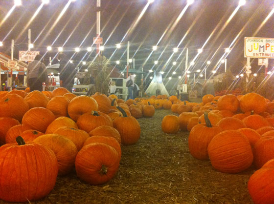 Pumpkin market